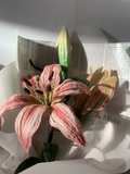 LILLIES