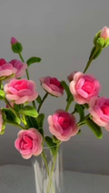 BUSH ROSE
