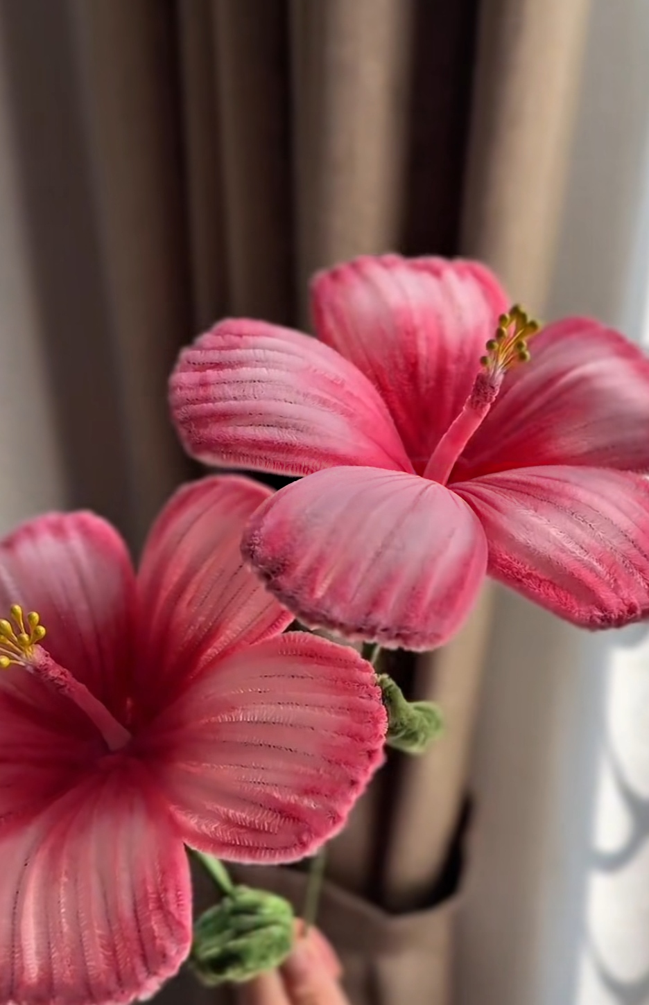 BASIC HIBISCUS
