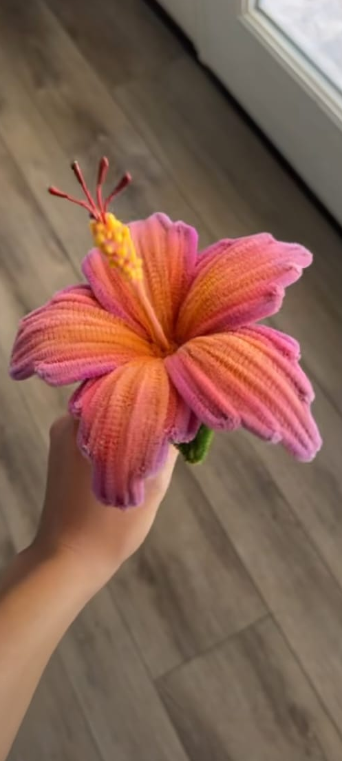 HIBISCUS SHADED