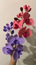 ORCHIDS