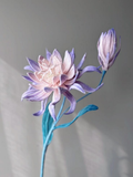 MAGNOLIAS