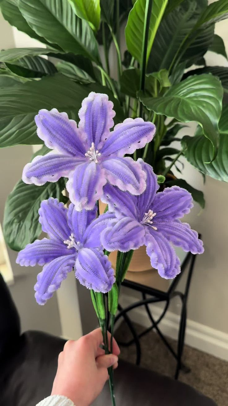 PURPLE LILIES
