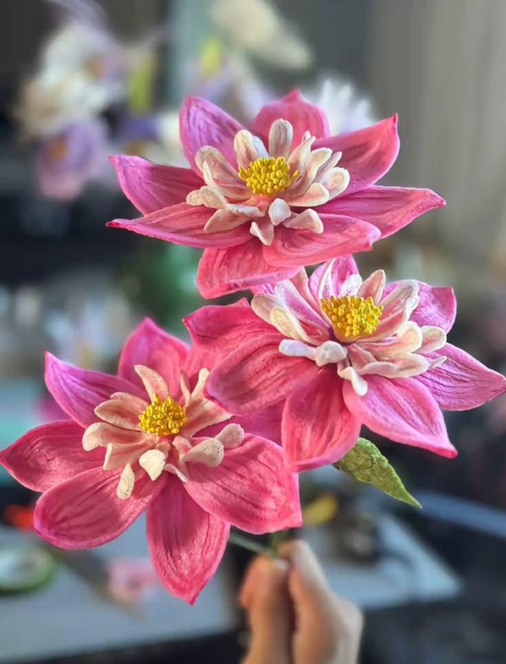 SPECIAL LILIES