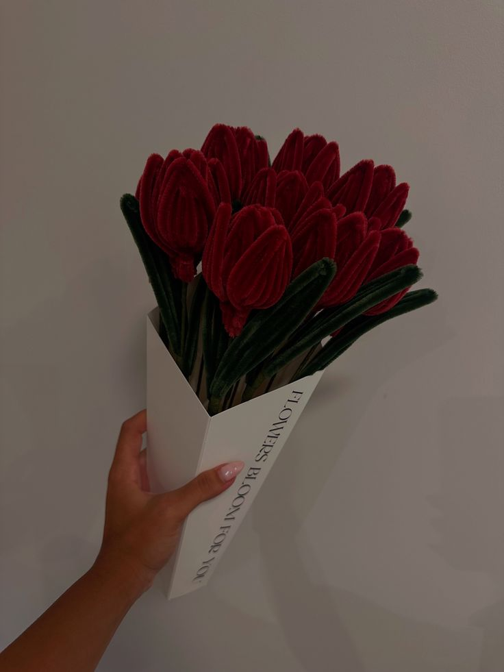 MAROON TULIP