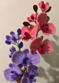 ORCHIDS