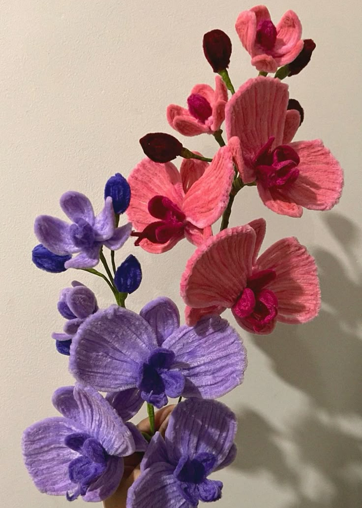 ORCHIDS