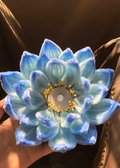 2 BLUE LOTUS BOUQUET