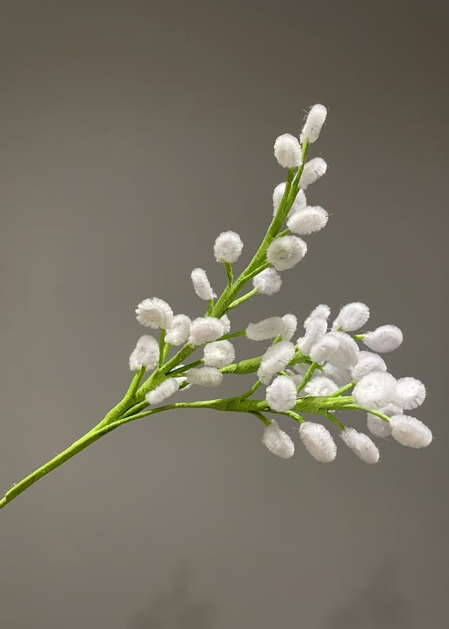 BABIES BREATH (GYPSOPHILA)