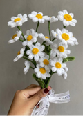 MINI DAISY
