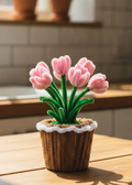 TULIPS POT