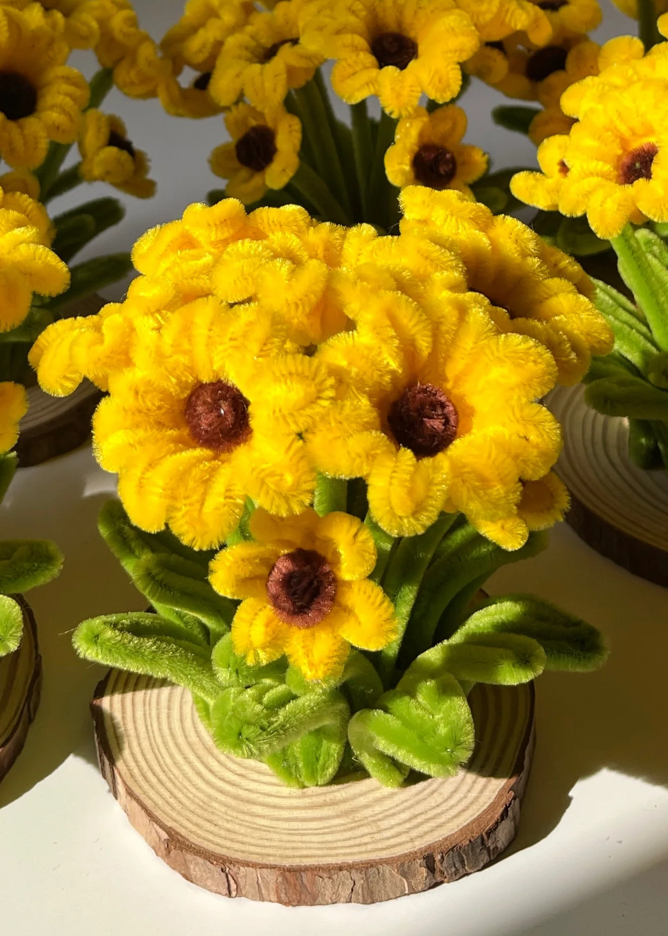 DANCING SUNFLOWERS